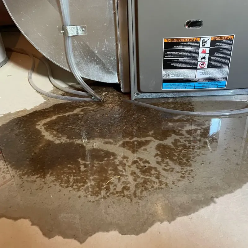Pipe Burst and Leak Restoration in Holyoke, CO